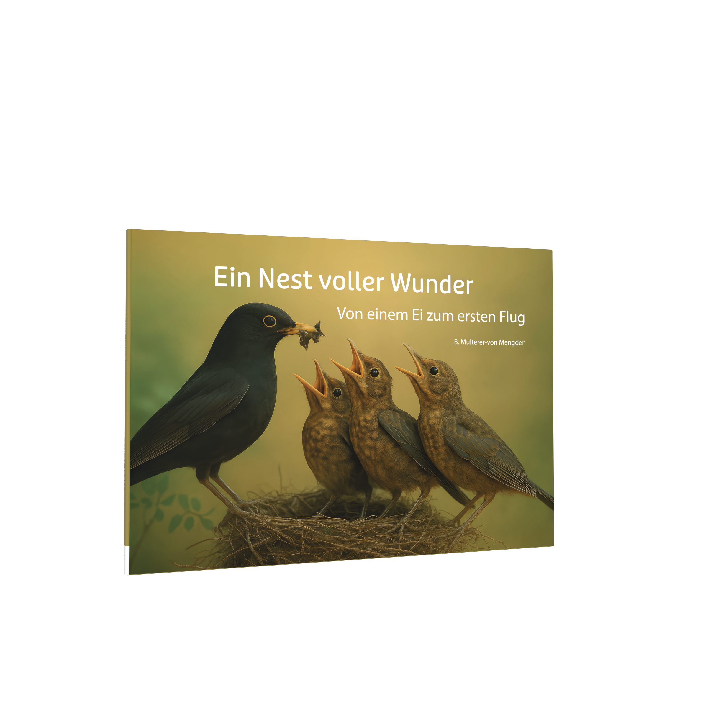 Ein Nest voller Wunder (Multerer-von Mengden)
